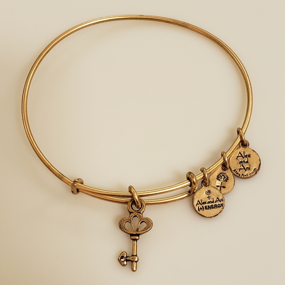 Alex and Ani Skeleton Key Bangle Bracelet